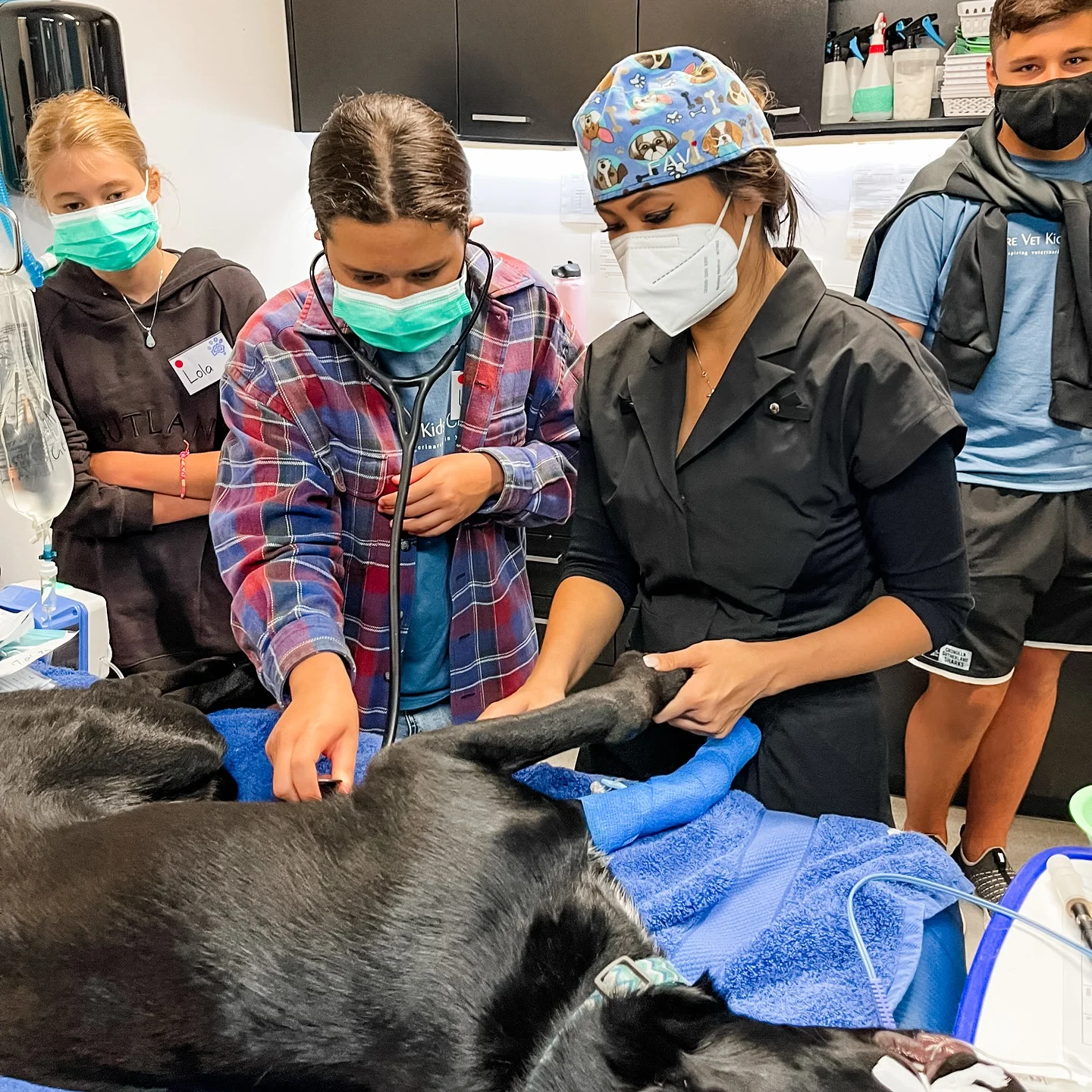  Future Vet Kids Camp